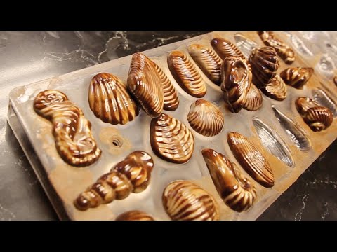Zucchero Canada