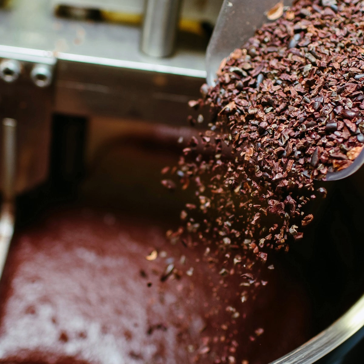 Rare and Specialty Chocolate Varieties From Around the World