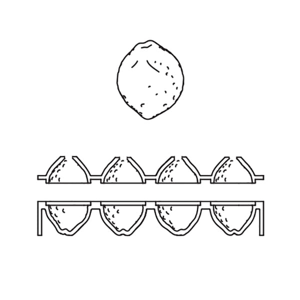 PAVODUO Silicone Mold "Citron" - Cédric Grolet