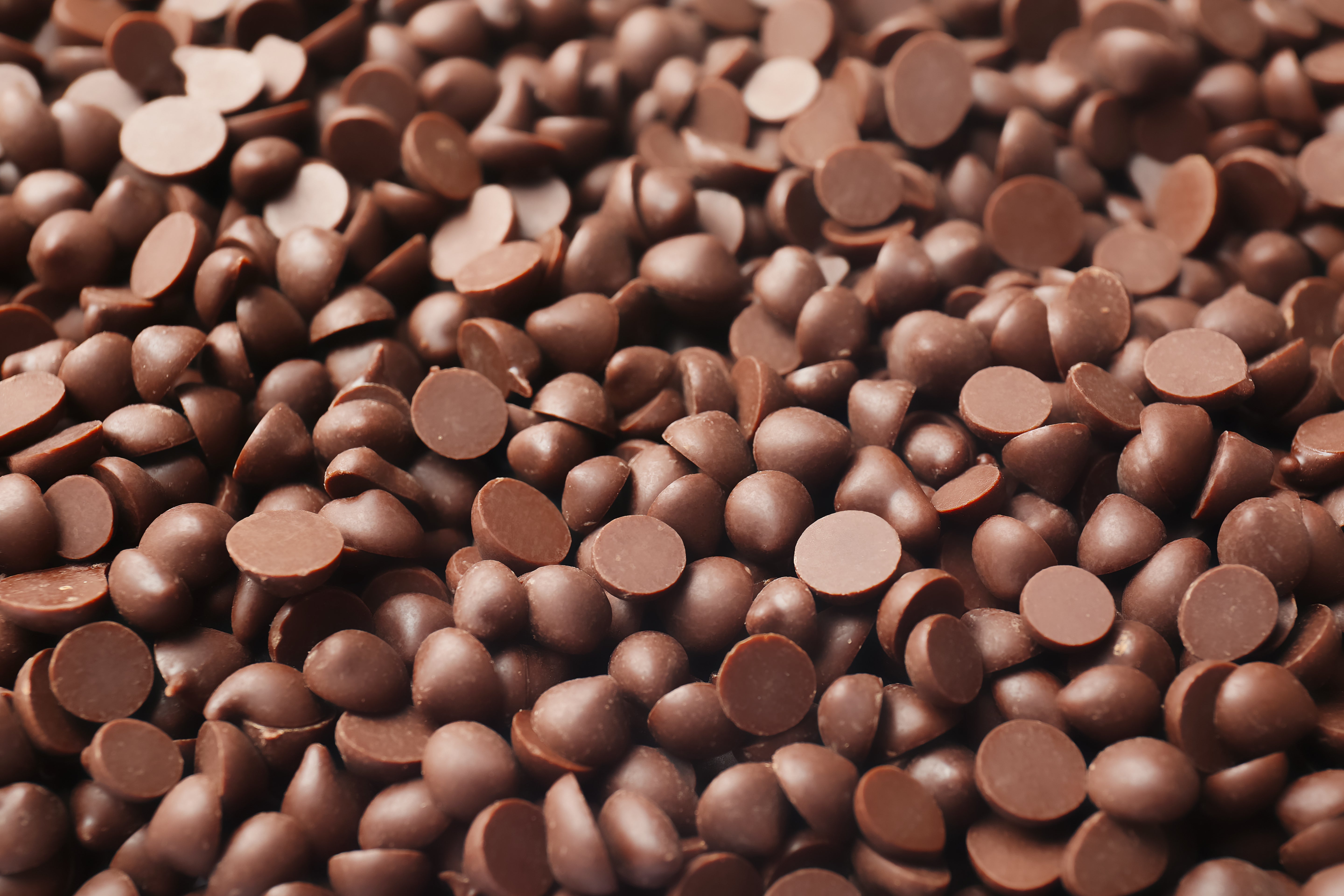 44% Milk Chocolate Latin American Origin - 5 kg - Zucchero Canada